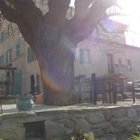 B&B Reillys Montecarotto Extérieur photo