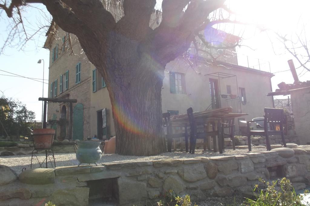 B&B Reillys Montecarotto Extérieur photo